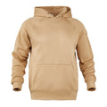 Mens hoodie